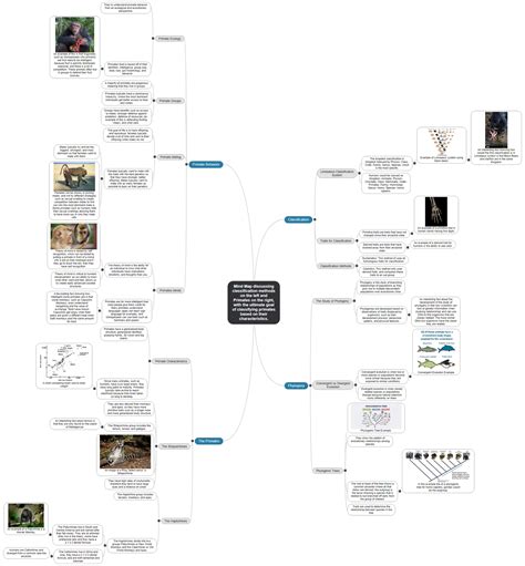 Mind Map discussing classification methods on the left and Primates on ...