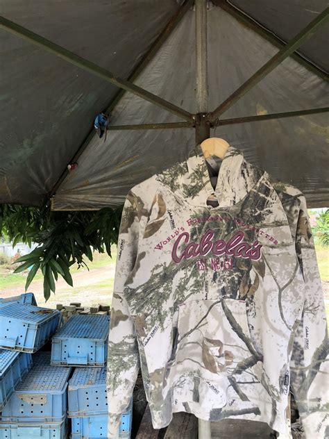 cabelas tree stands 4