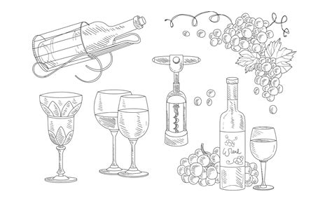 Premium Vector Wine Set Hand Drawn Wine Objects Bottle Corkscrew