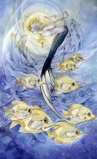 Lá Nine of Cups Shadowscapes Tarot 2024