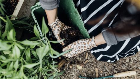 Faire un potager en lasagne Veìr Magazine