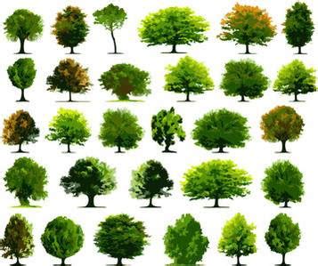 Free for Photoshop: Trees Vectors