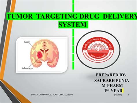 Tumour Targeting Drug Delivery System Pptx