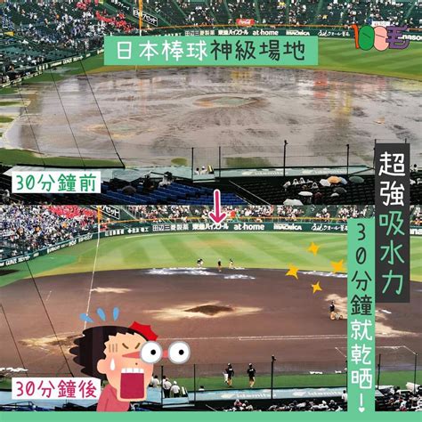 阪神甲子園球場30分鐘可以去走晒場地嘅水 時事台 香港高登討論區