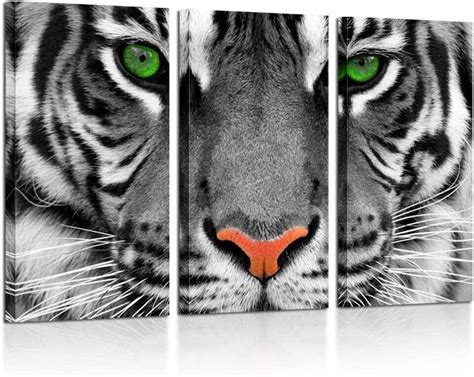 3 Pieces Canvas Prints Wall Art Large Green Eyed Tiger Animal Picture