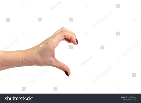 Hand Forming Half Heart Shape Hands Stock Photo 1897742806 | Shutterstock