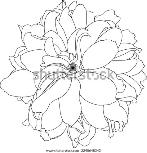 One Line Drawing Outline Vector On Stock Vector (Royalty Free) 2248648343 | Shutterstock