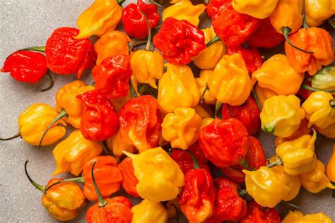 Meet Pepper X The New World S Hottest Pepper