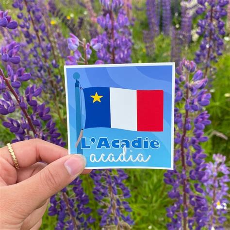 Acadian Flag - Etsy