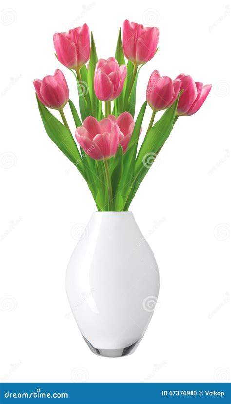 Bouquet Of Pink Tulips In Vase Isolated On White Stock Photo Image Of