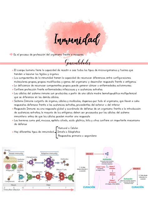 Inmunidad Inmunidad Es El Proceso De Protecci N Del Organismo Frente