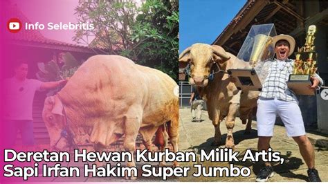 Deretan Hewan Kurban Milik Artis Sapi Irfan Hakim Super Jumbo YouTube