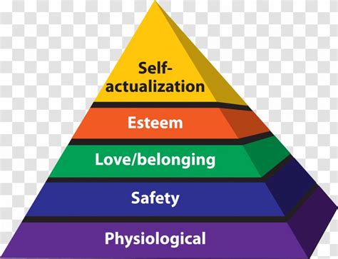 The Pyramid Of You Humanistic Psychology Maslows Hierarchy Of Needs