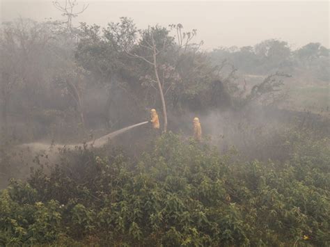 Abi Reducen De 12 A 8 Los Incendios Forestales Activos En La Paz Y Beni