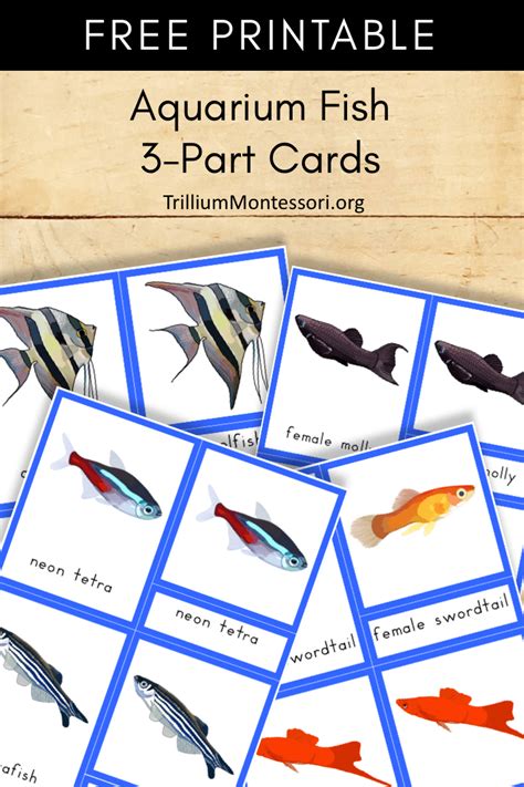 Free Montessori Printables