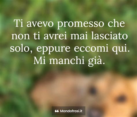 Morte Cane Frasi Importanti Per Salutare Il Nostro Amico A Zampe