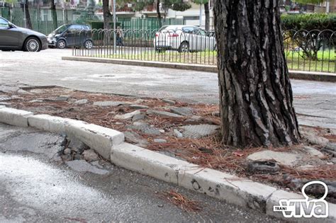 Strade E Marciapiedi Dissestati Da Anni