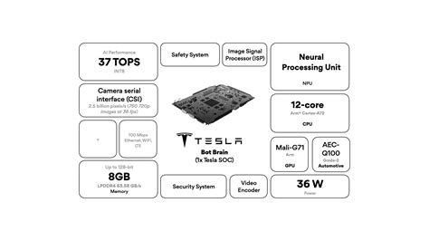 Tesla's Optimus brain hardware and software architecture