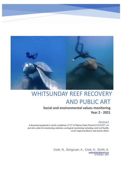 PDF Whitsundays Reef Recover And Public Art Social And Environmental