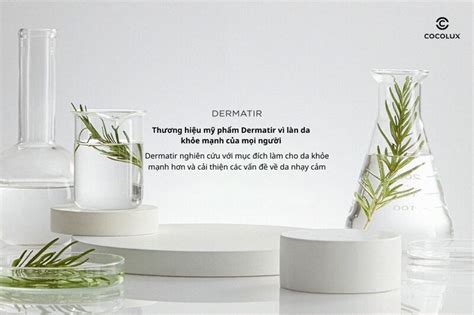 Review Chi Tiết Kem Dưỡng Dermatir Rosemary Pure Cream Sáng Da Ngừa