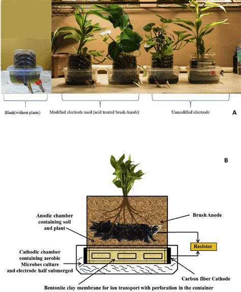 A Experimental Setup Of Pmfc B Schematic Representation Of Plan Download Scientific