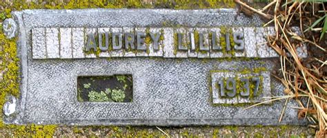 Audrey Anne Lillis Find A Grave Reminne