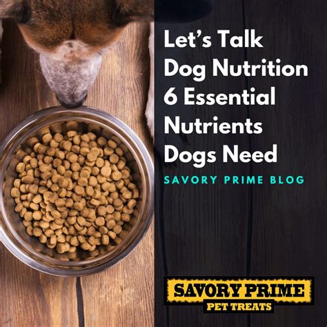 Let’s Talk Dog Nutrition — 6 Essential Nutrients Dogs Need - Savory Prime Pet Treats