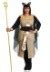 Plus Size Bastet Egyptian Goddess Women S Costume Egyptian Costumes