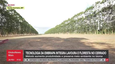 Tecnologia Aumenta Produtividade E Preserva Meio Ambiente No Cerrado