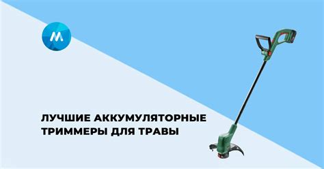 Лучшие аккумуляторные триммеры — рейтинг лучших 2024