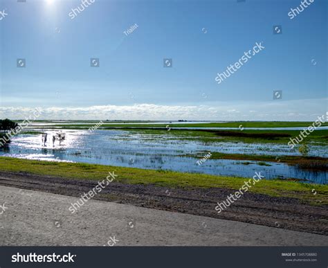 Pampas Argentina Stock Photo 1345708880 | Shutterstock