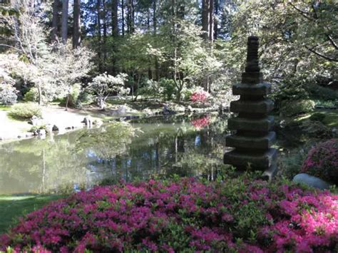 Ubc Botanical Garden And Nitobe Memorial Garden Tj Online