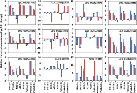 Validation Of RNA Seq Data Via QRT PCR Bar Graphs Depicting The