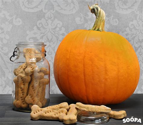 Pumpkin and Flaxseed Dog Biscuits | Soopa Pets