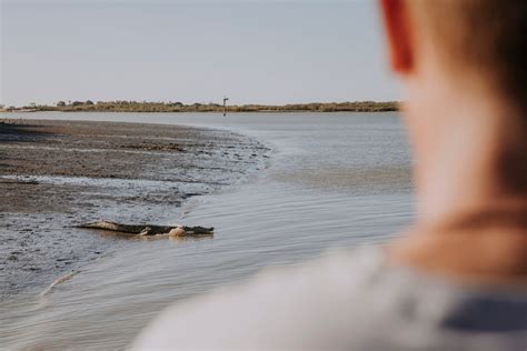 Croc Wise Safety Information Cairns And Great Barrier Reef