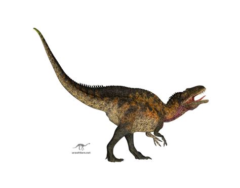 Acrocanthosaurus Urzeittiere Net