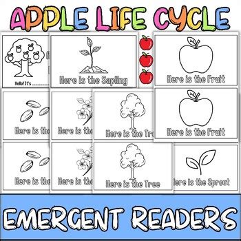 Apple Tree Life Cycle Emergent Reader Apple Day Activities Apple