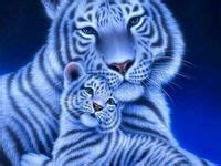 ideas de imagenes de animales imagenes de animales animales fotos
