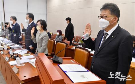 국감 증인 선서하는 노대명 한국사회보장정보원 원장 노컷뉴스