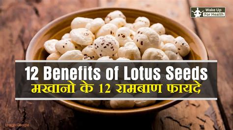 12 Health Benefits Of Lotus Seeds