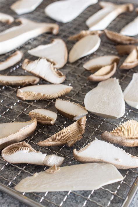 Kräuterseitlinge dörren Anleitung LieberBacken