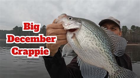 Big December Fall Crappie Fishing Tips Locations W Livescope Footage