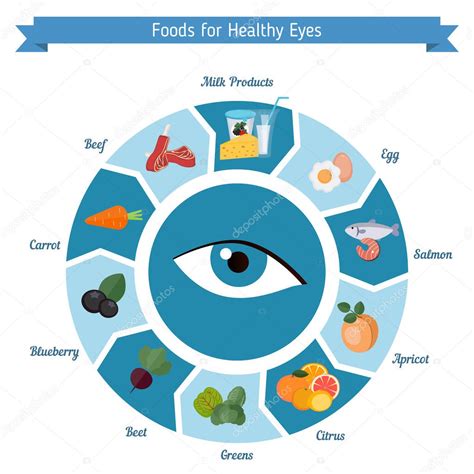 Healthy eyes foods infographics Stock Illustration by ©NinaMunha #126146610