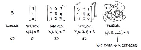 Introduction to Tensors | by Parastoofalakaflaki | Medium