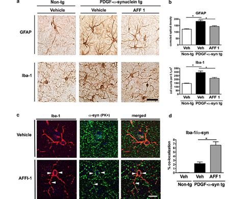 Effect Of Vaccination With AFF 1 On Astrogliosis And Microgliosis In