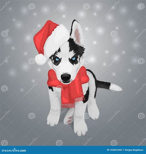 Christmas Husky Puppy Stock Vector Illustration Of Puppy 103661042