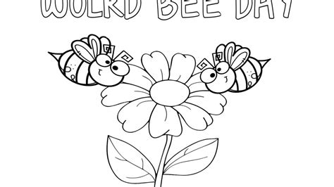 Ciclo Vitale Di Unape E Disegno Da Colorare Life Cycle Of A BEE