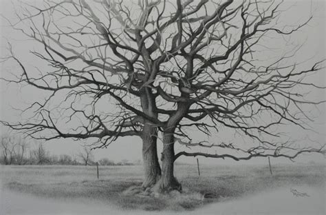 37 best Dead Tree Pencil Drawings images on Pinterest | Pencil drawings, Drawing sketches and ...