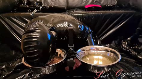 Slut Orgasma Celeste Porn Videos Sex Model Nudes XHamster