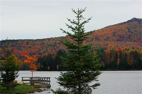 Fall Foliage Photo Tour in Northeast Kingdom (Vermont) – Local Captures